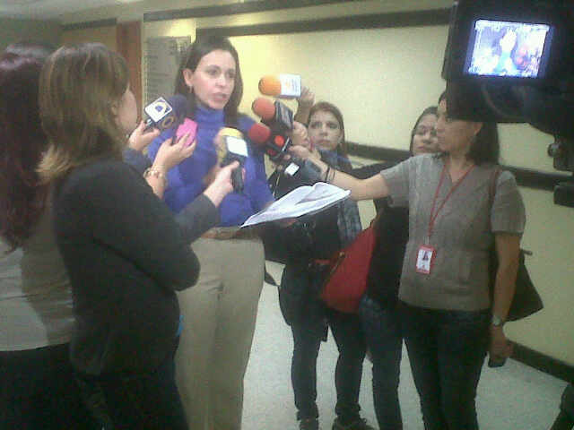 MCMAsamblea060213