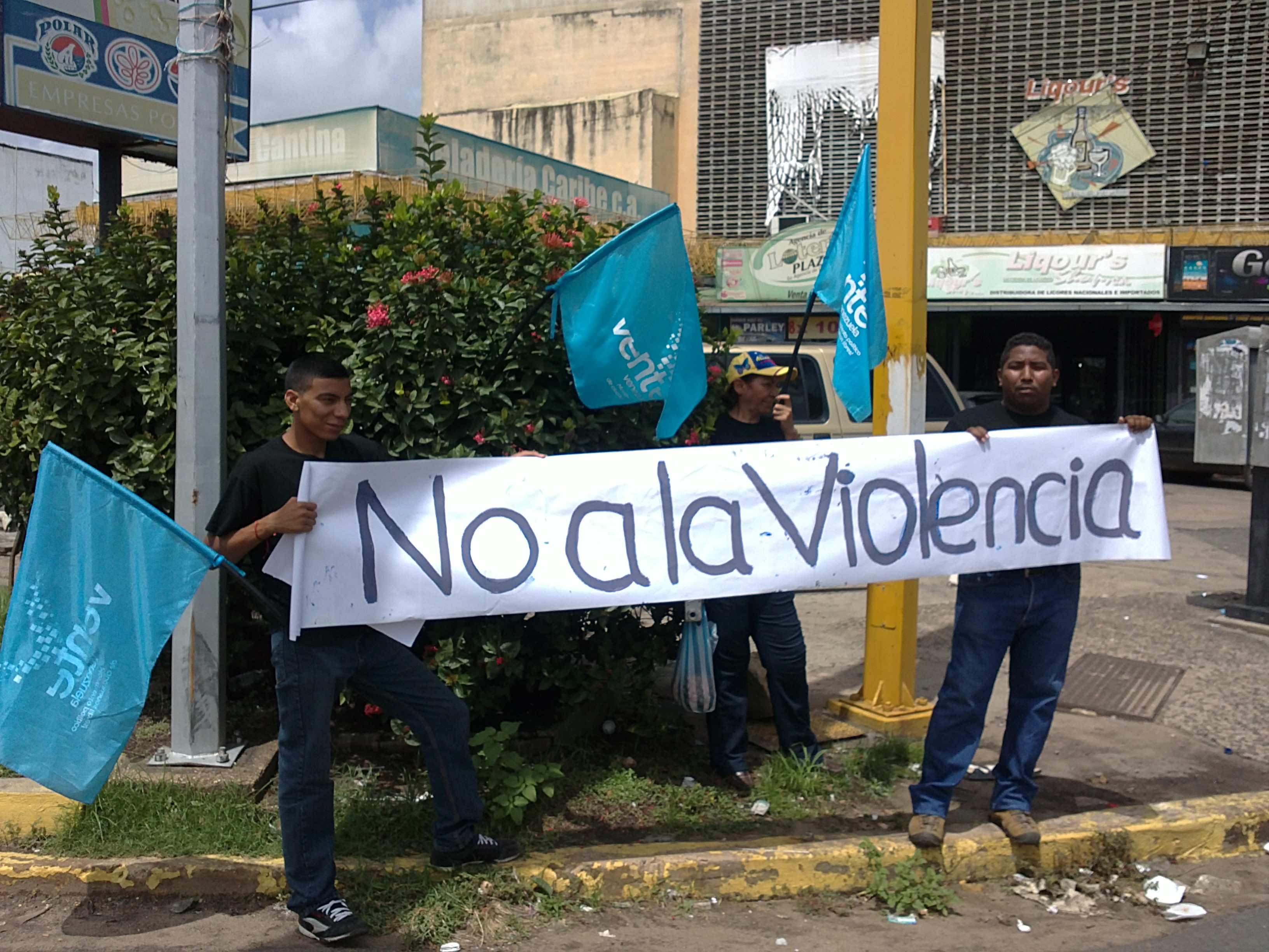 Vente Bolívar realizó protesta contra la violencia