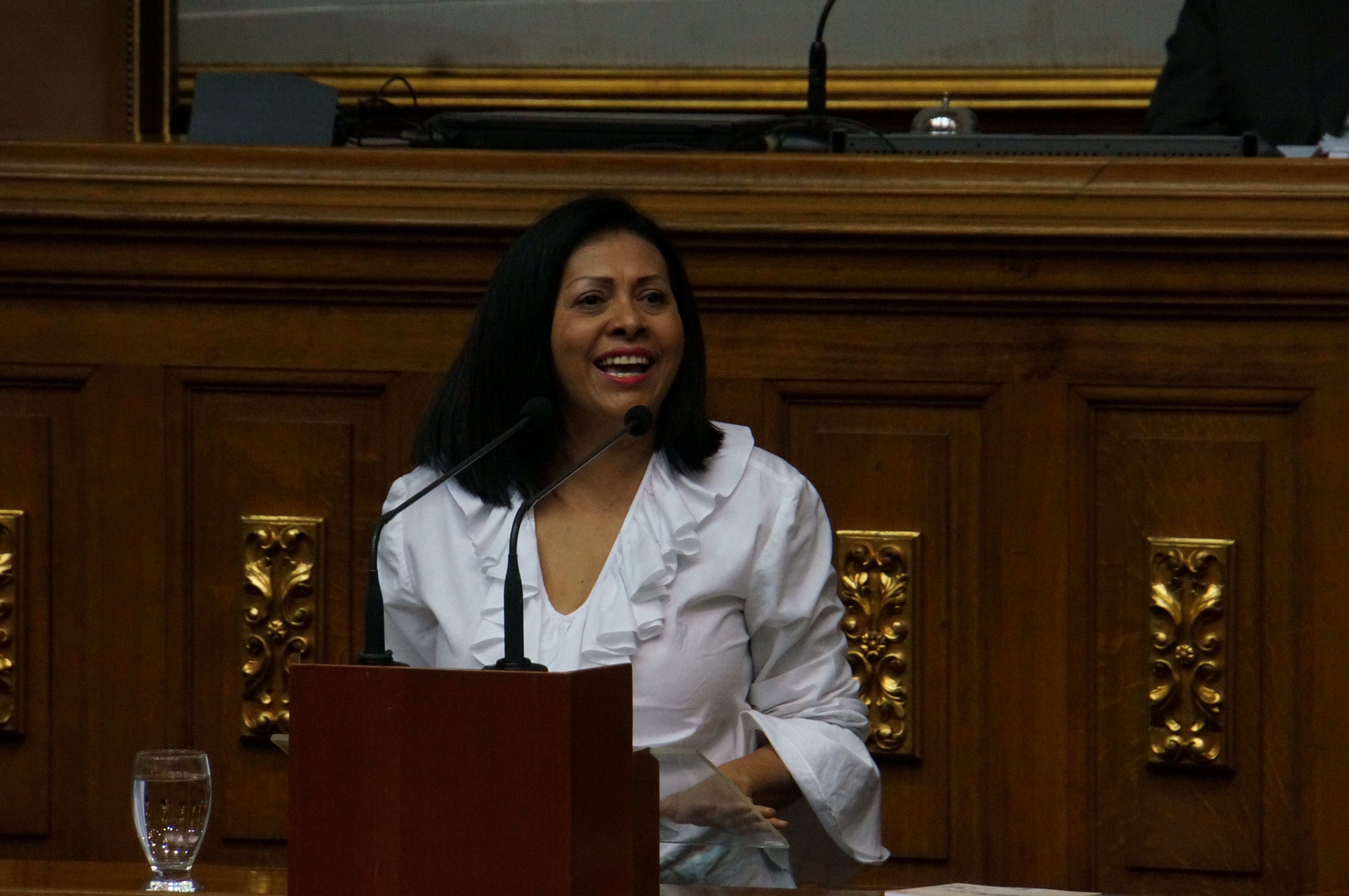 Dignora Hernández: Regímenes como el de Maduro no se combaten con diálogos, negociaciones o falsas elecciones