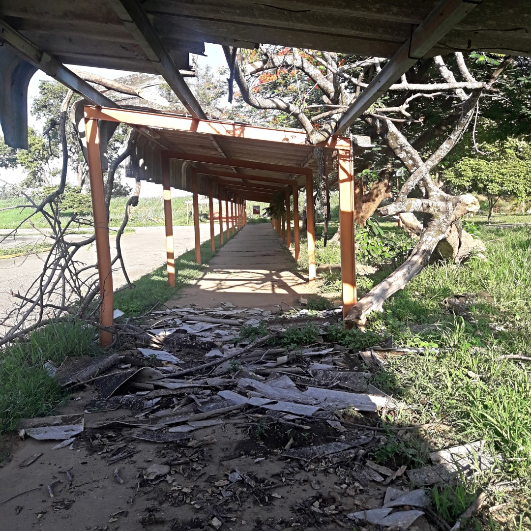 Denni León: La UNELLEZ, así como todas las universidades venezolanas, está en el ocaso y el olvido