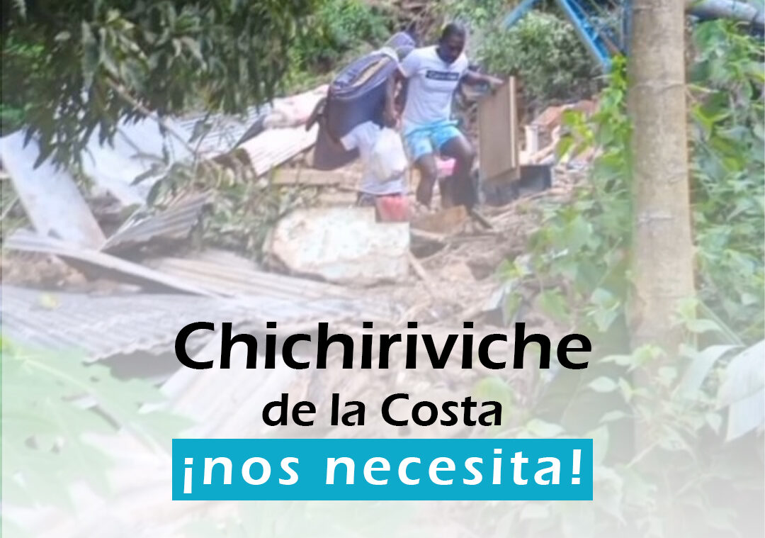 Vente Vargas abre centro de acopio para ayudar a familias de Chichiriviche
