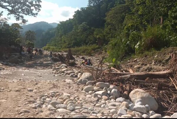 Martha Hernández: Merideños reclaman atención inmediata para arreglar carretera que comunica a El Charal con Tucaní